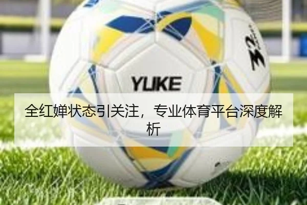 全红婵状态引关注，专业体育平台深度解析